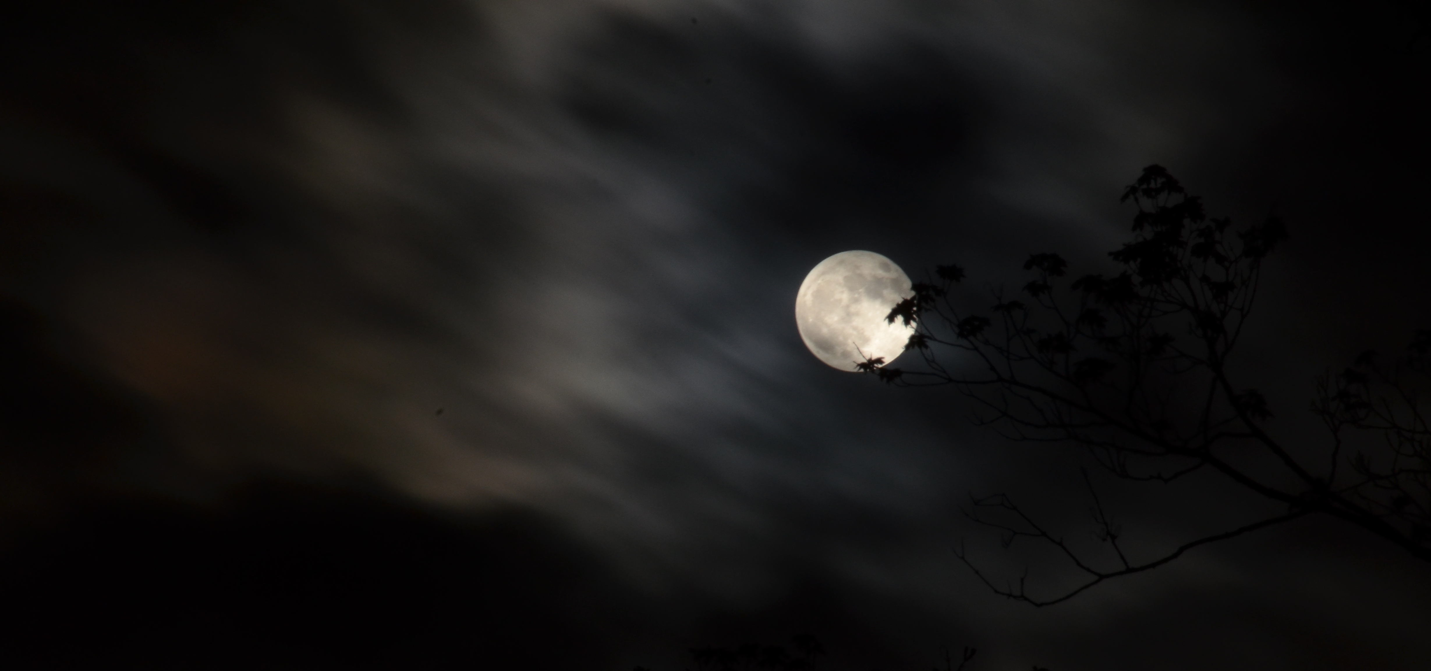 My foray into nighttime photography, right outside my house!